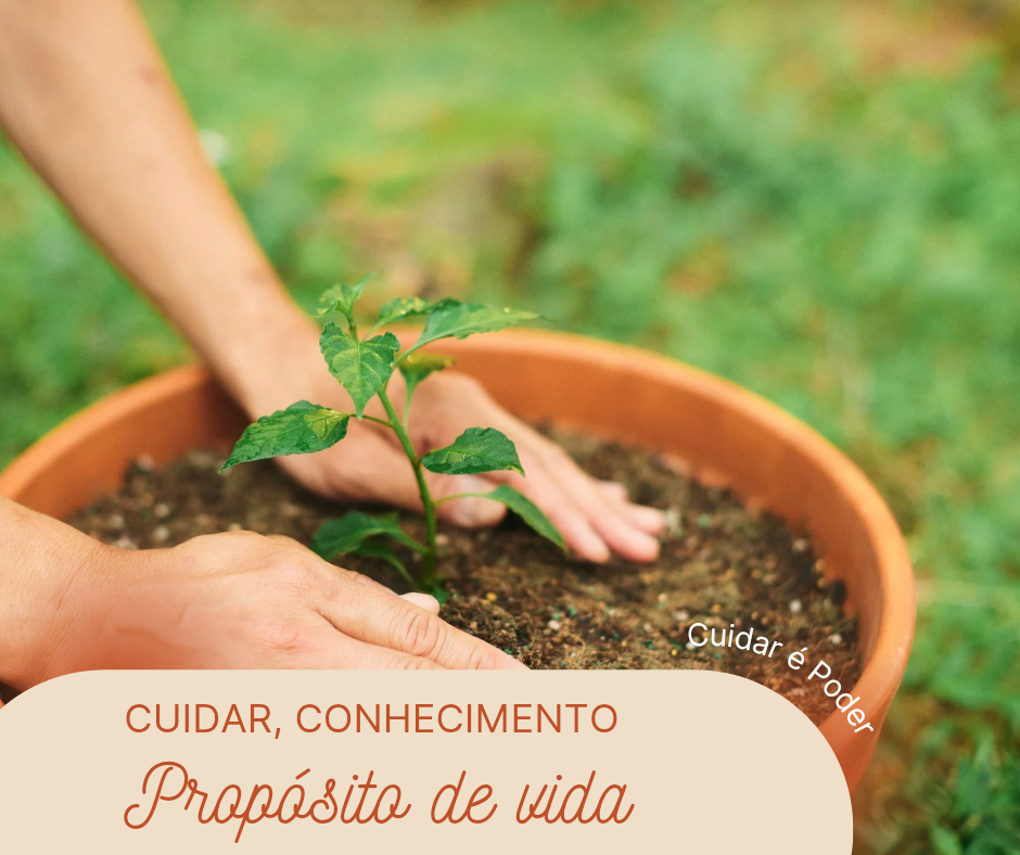 Quando o cuidado se transforma em conhecimento